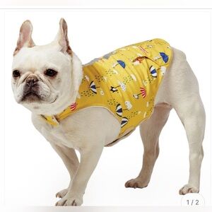 Free Country Yellow Dog Raincoat with Umbrella Print